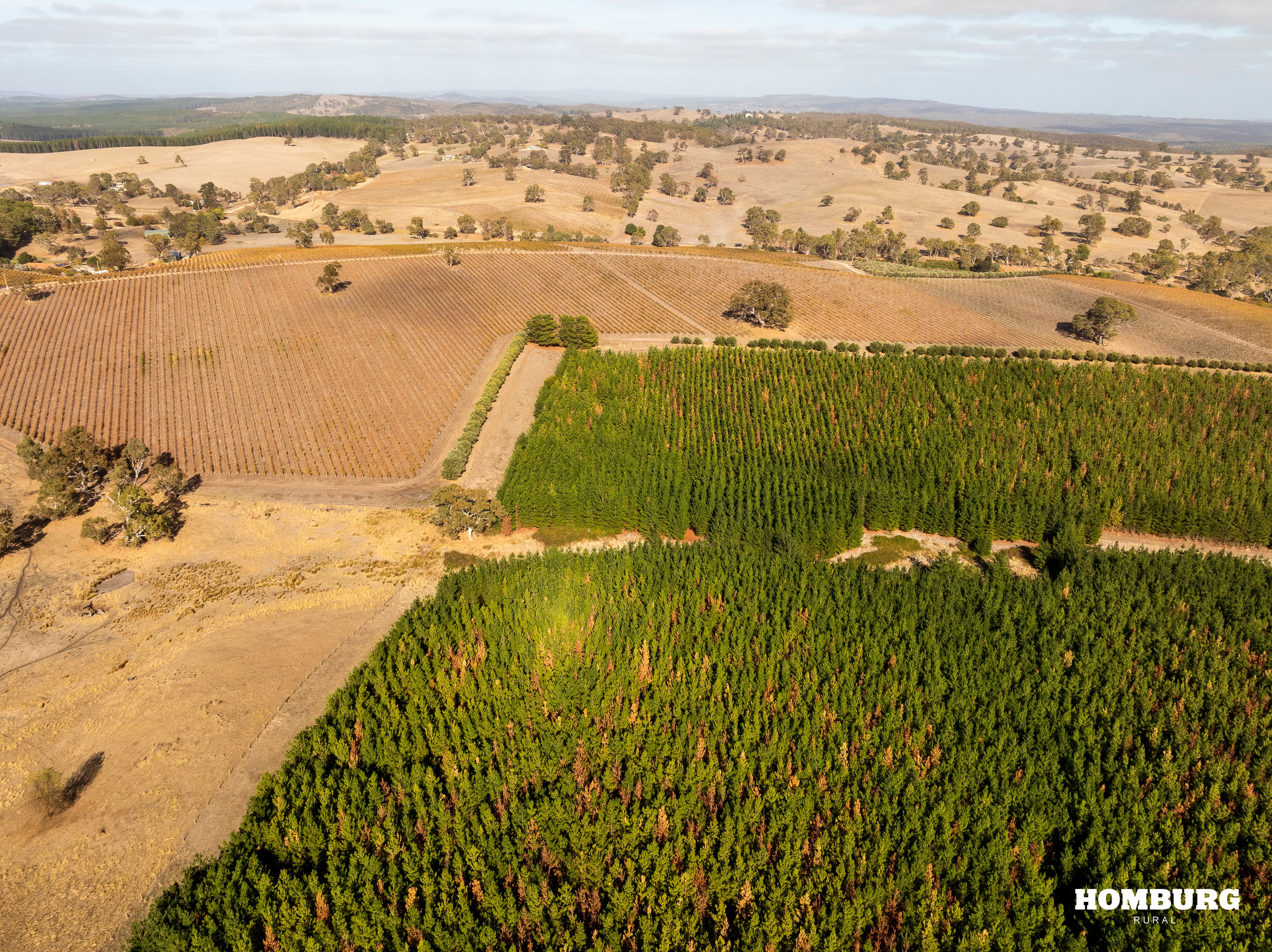 453 Springton Road, PEWSEY VALE, Pewsey Vale - Thumbnail 7