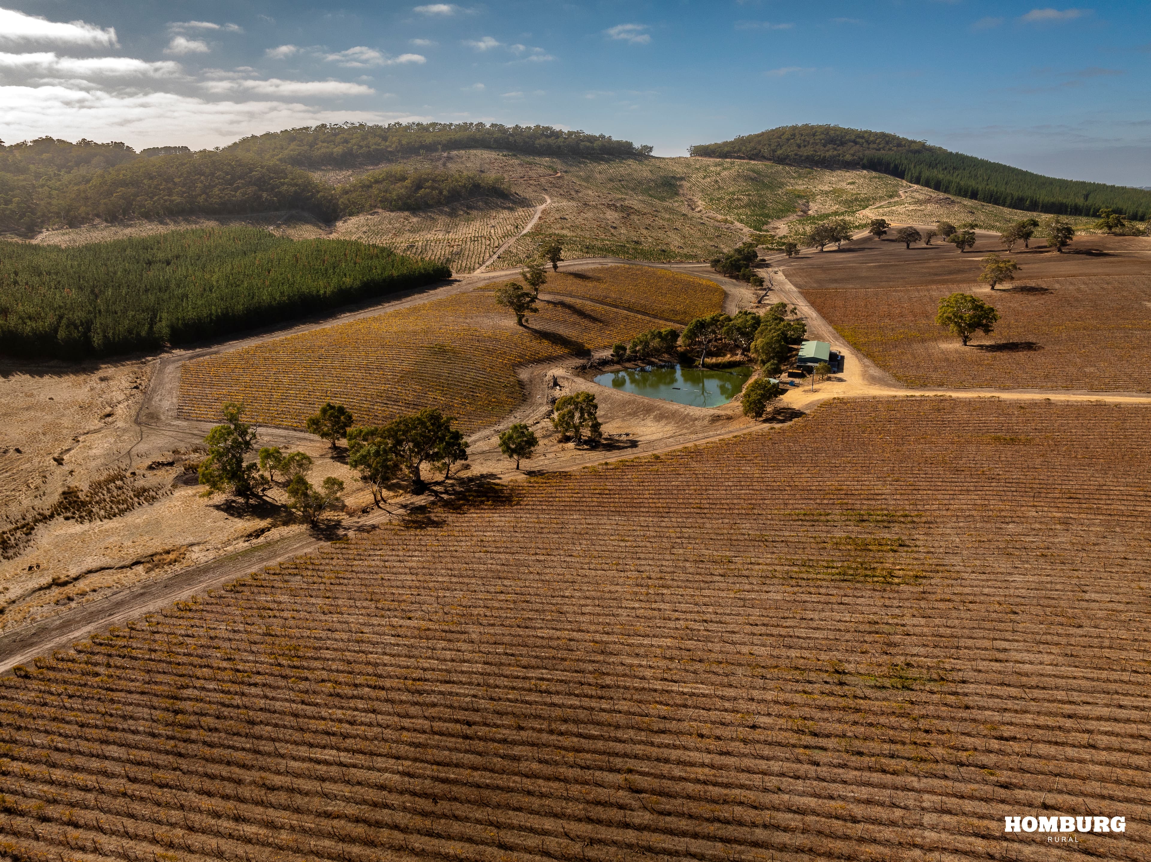 453 Springton Road, PEWSEY VALE, Pewsey Vale - Thumbnail 8