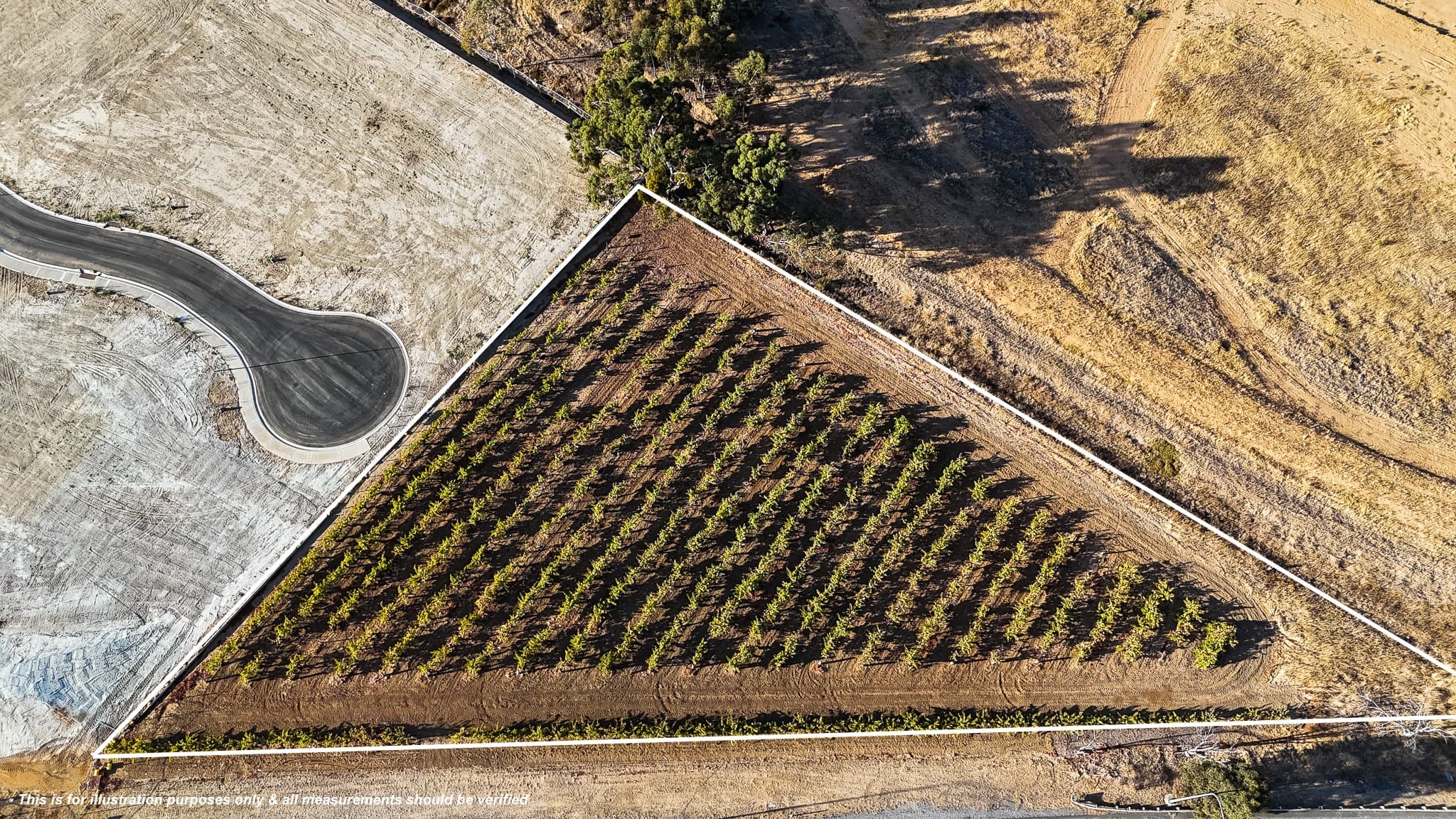 Lot/111 Sturt Highway, NURIOOTPA, Nuriootpa - Thumbnail 4