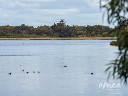 46 Pyrite Way, Cockburn Central, WA, 6164, Cockburn Central - Thumbnail 5