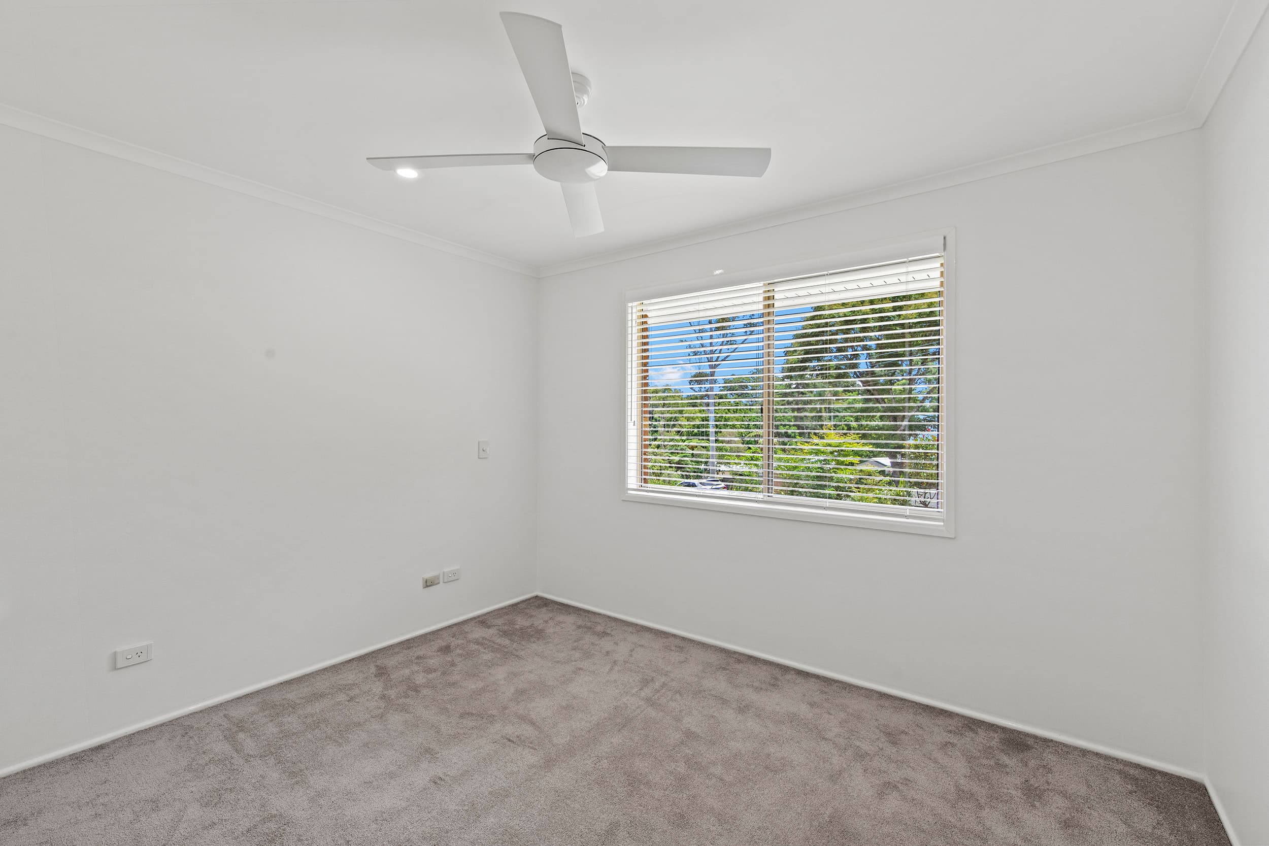 15 Tambora Court, TAMBORINE MOUNTAIN QLD 4272, Tamborine Mountain - Thumbnail 8