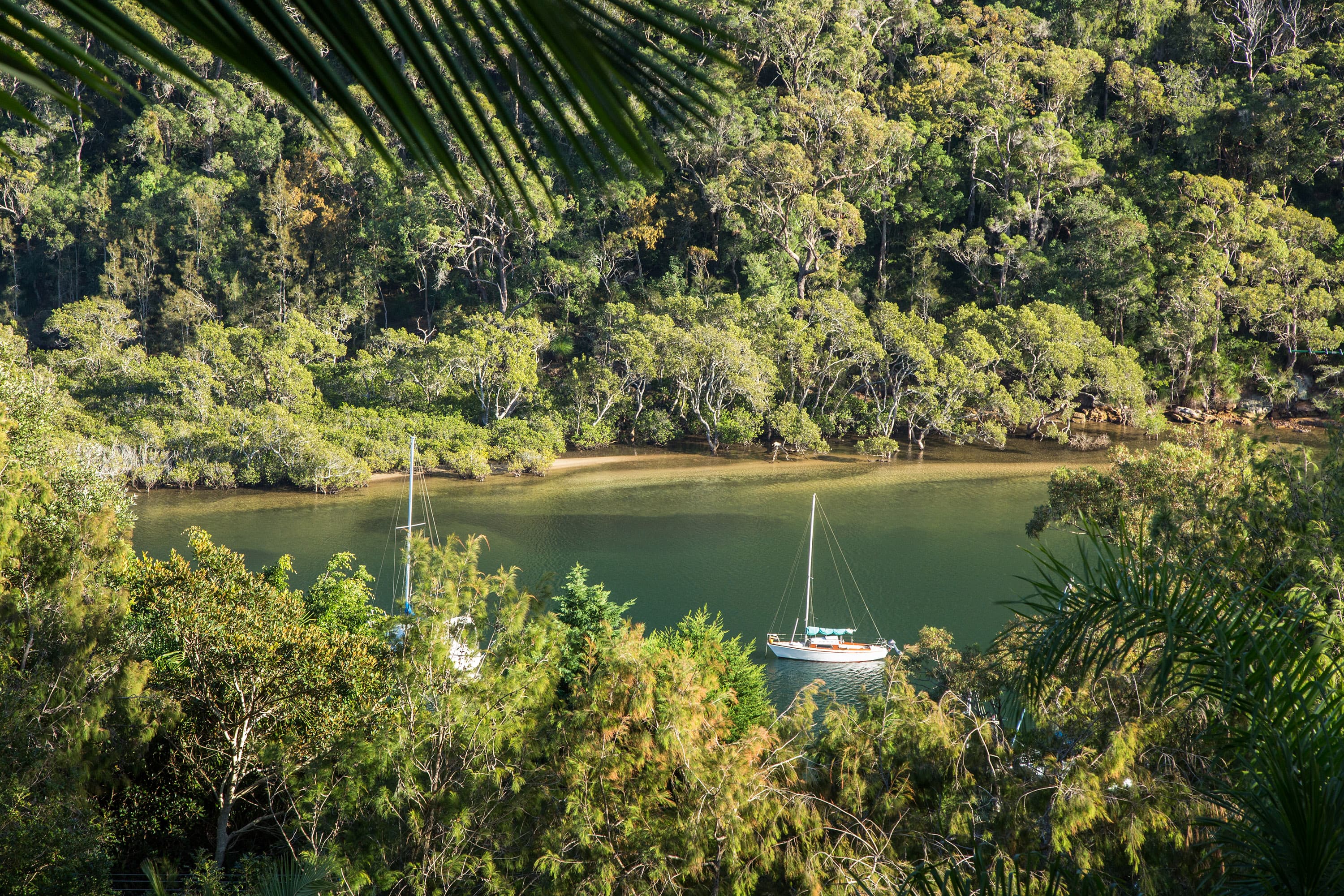 223 McCarrs Creek Road, Church Point, NSW, 2105, Bayview - Thumbnail 8