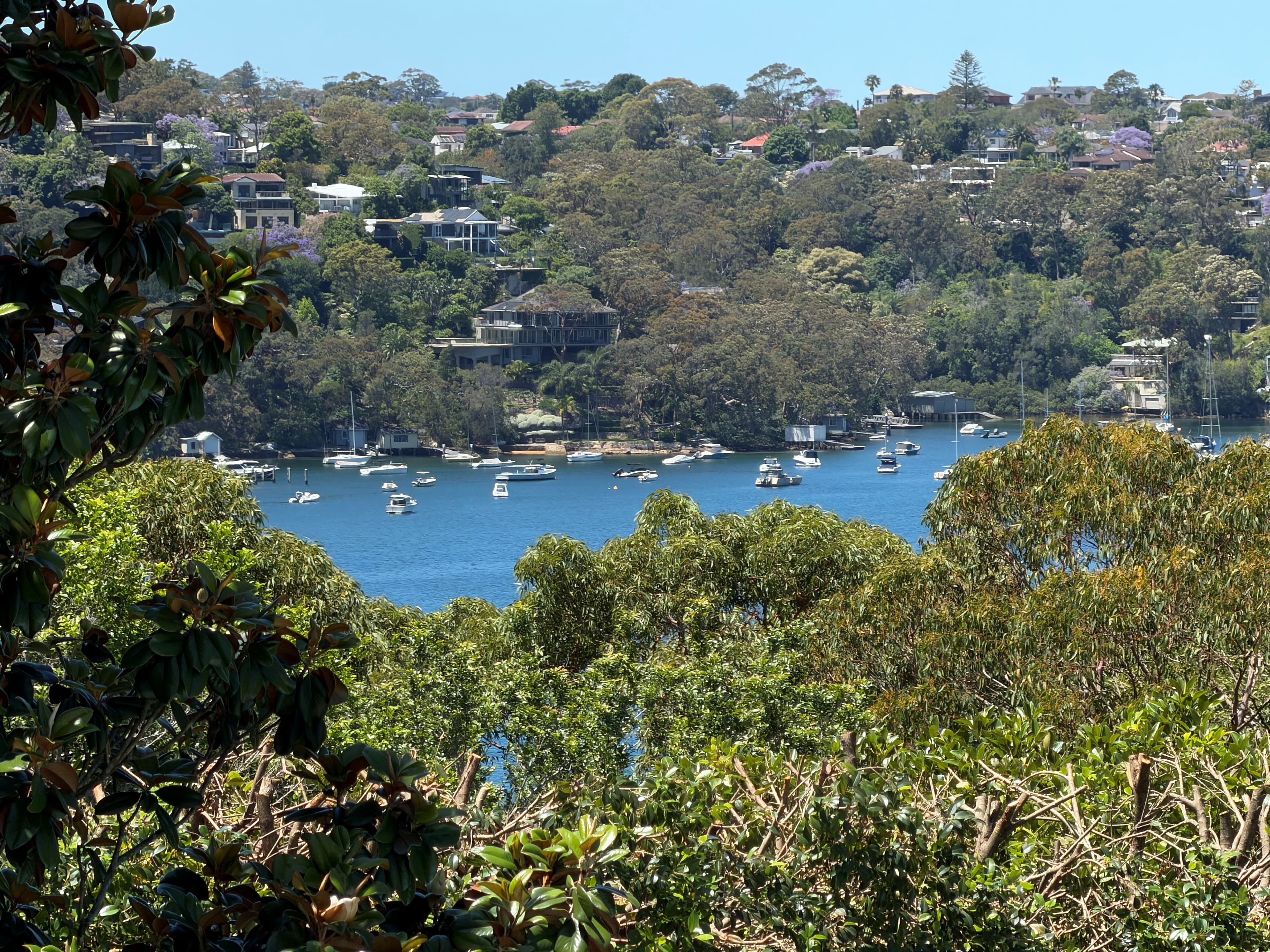 12 Emerstan Drive, Castle Cove, NSW, 2069, Castle Cove - Thumbnail 6