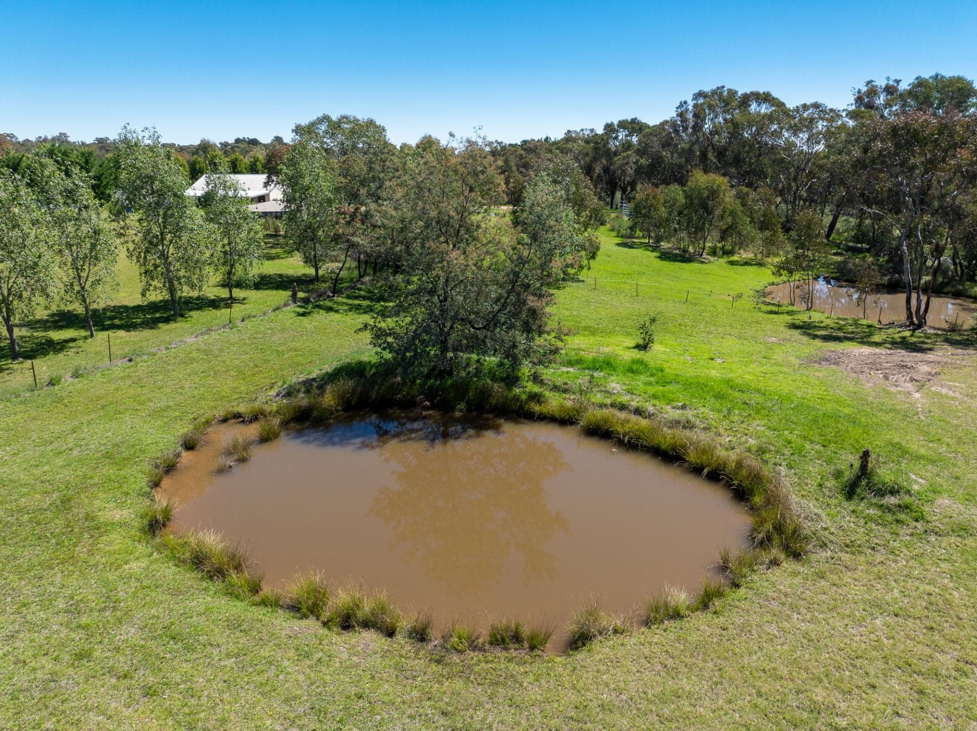 12 Adamthwaite Road Mullion Creek NSW, Mullion Creek - Thumbnail 4