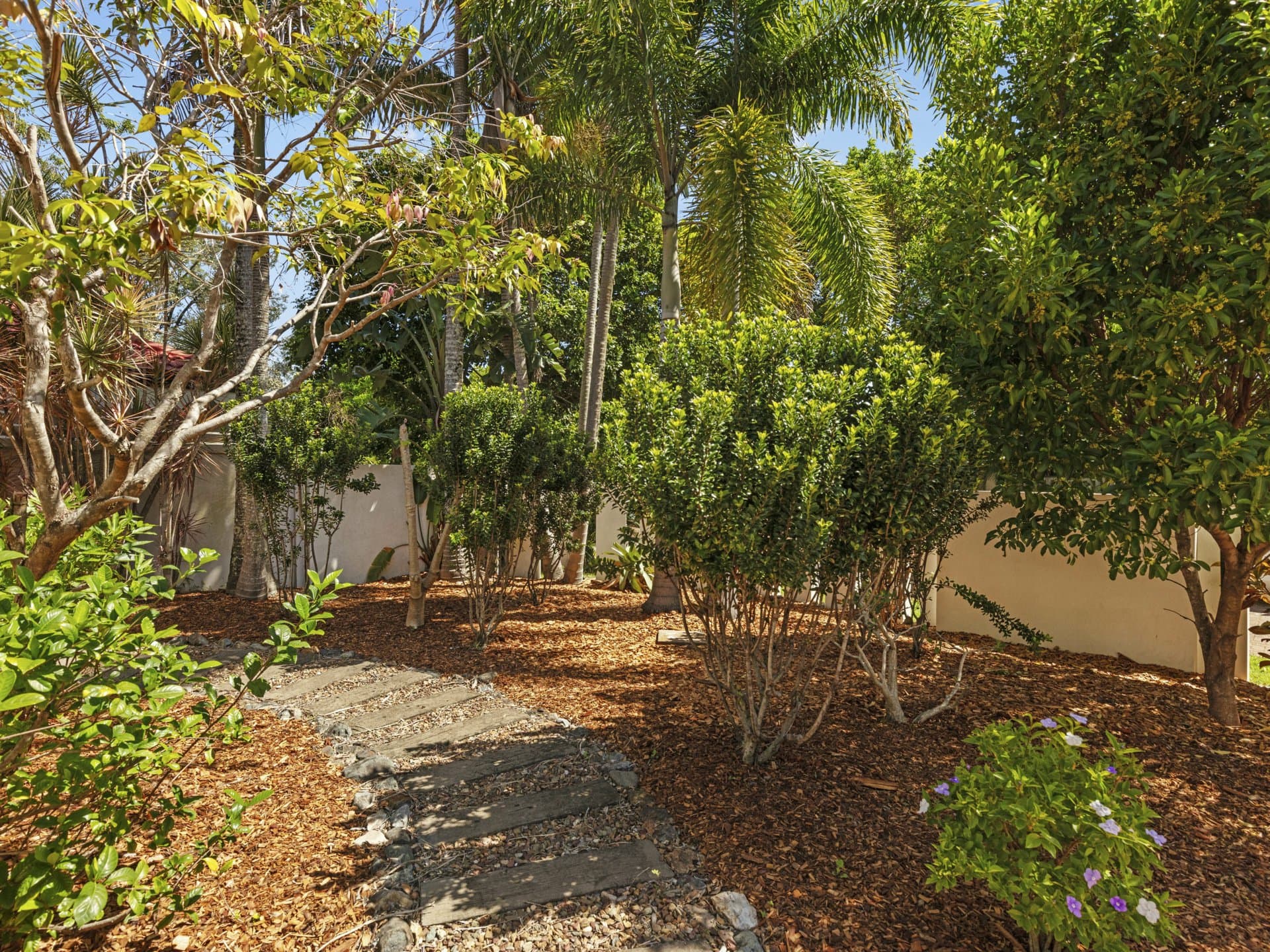 17 Glenwood Place, Twin Waters, Twin Waters - Thumbnail 6