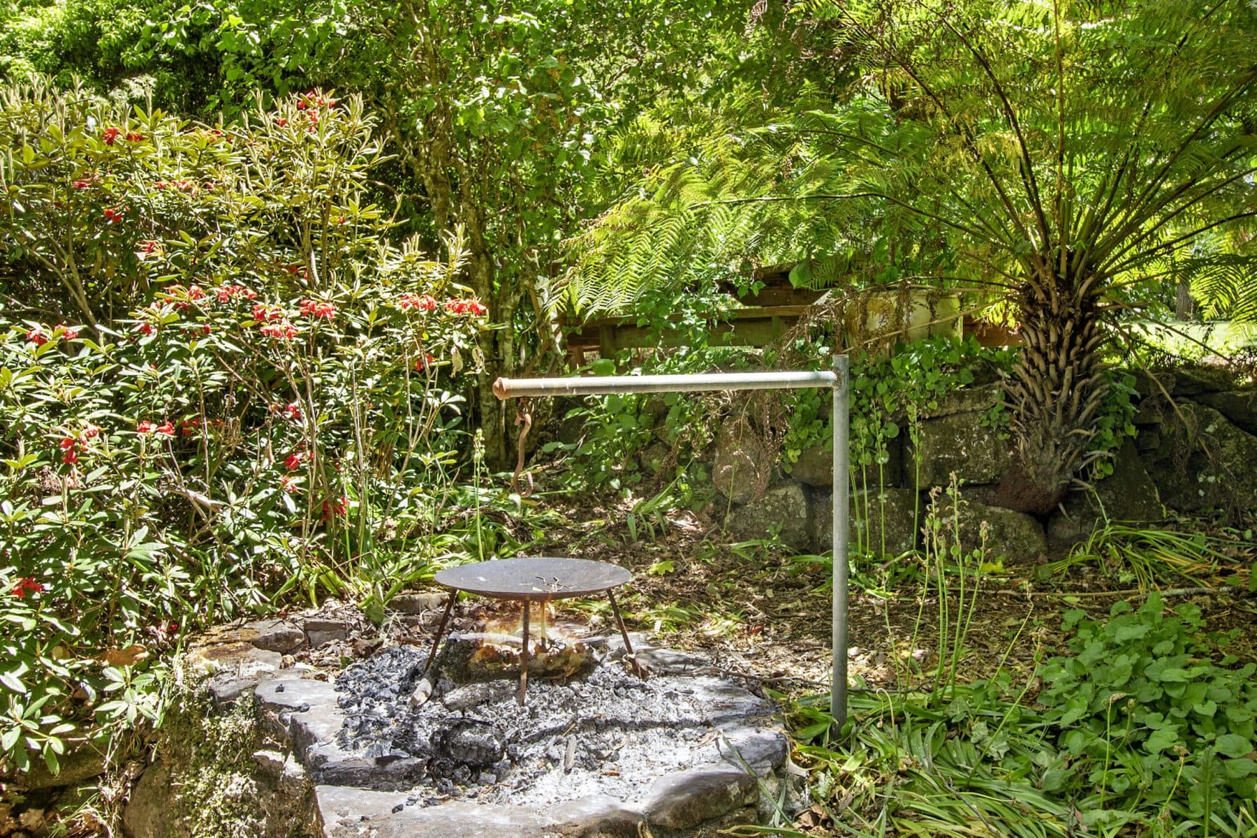 9 Galwey Lane, Mount Wilson NSW, Mount Wilson - Thumbnail 4