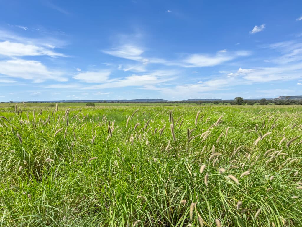 Bellevue , YARAKA QLD 4731, Yaraka - Image 1
