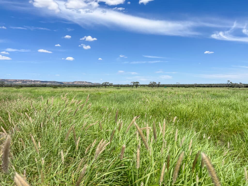 Bellevue , YARAKA QLD 4731, Yaraka - Thumbnail 2