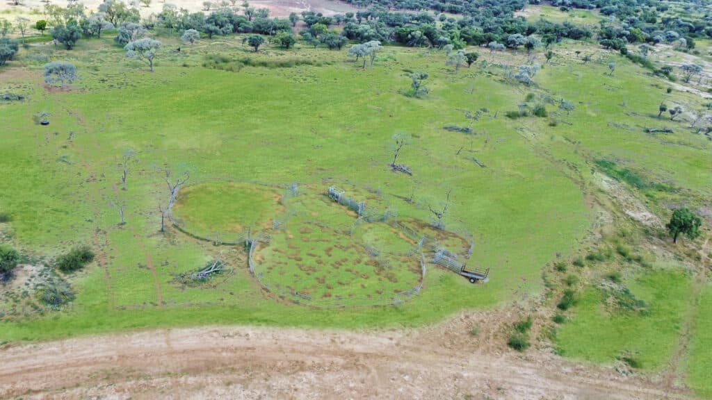 Bellevue , YARAKA QLD 4731, Yaraka - Thumbnail 3