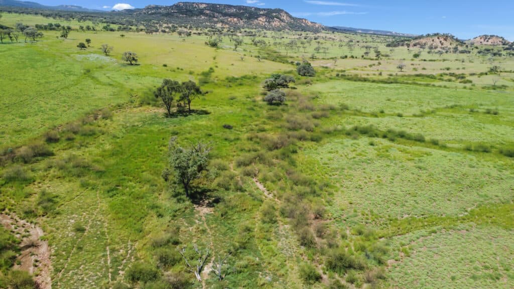Bellevue , YARAKA QLD 4731, Yaraka - Thumbnail 4