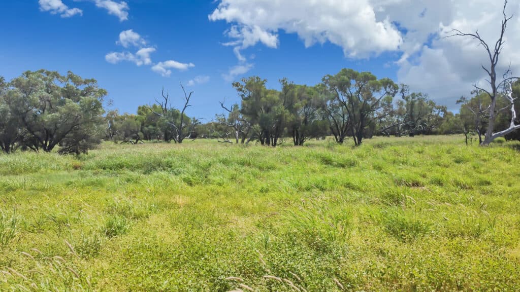 Bellevue , YARAKA QLD 4731, Yaraka - Thumbnail 8