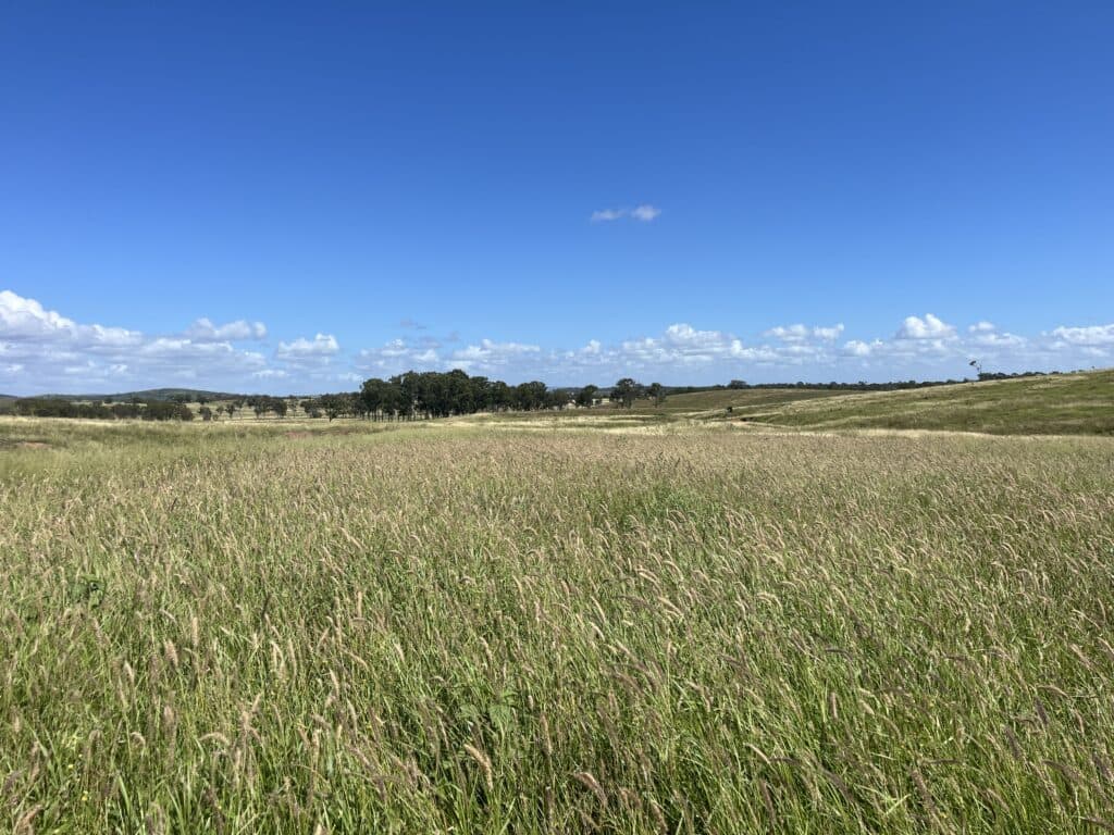 Lot 65-66 Dalma Ridgelands Road, RIDGELANDS QLD 4702, Ridgelands - Thumbnail 2