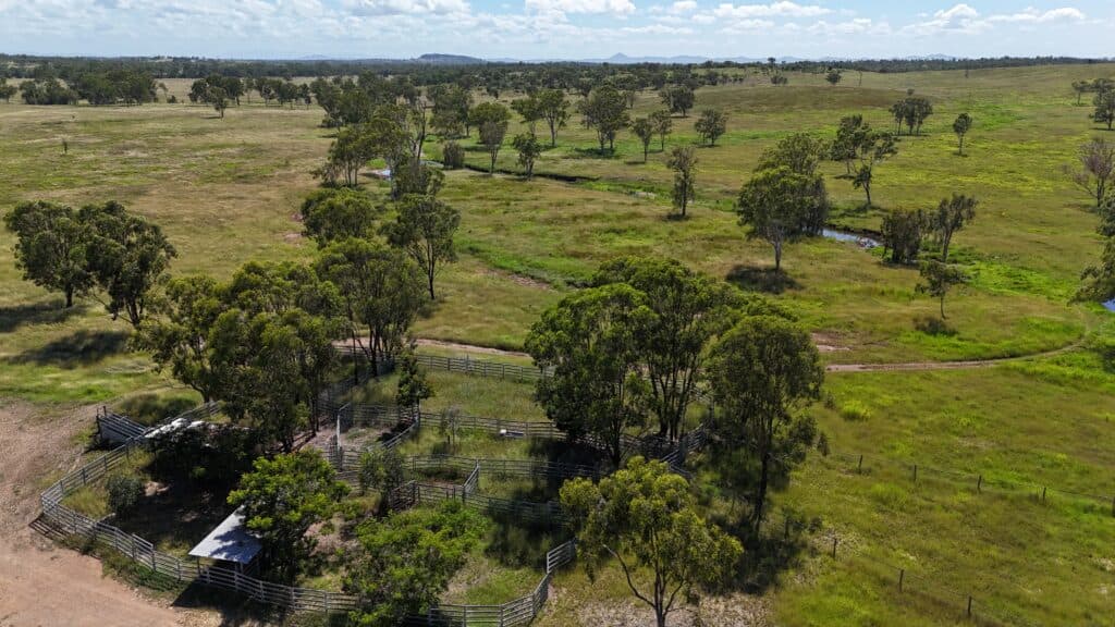 Lot 65-66 Dalma Ridgelands Road, RIDGELANDS QLD 4702, Ridgelands - Thumbnail 3
