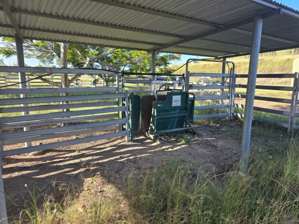 Lot 65-66 Dalma Ridgelands Road, RIDGELANDS QLD 4702, Ridgelands - Thumbnail 4