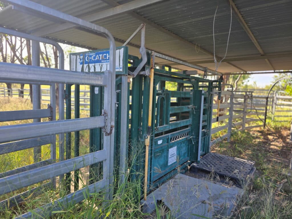 Lot 65-66 Dalma Ridgelands Road, RIDGELANDS QLD 4702, Ridgelands - Thumbnail 5