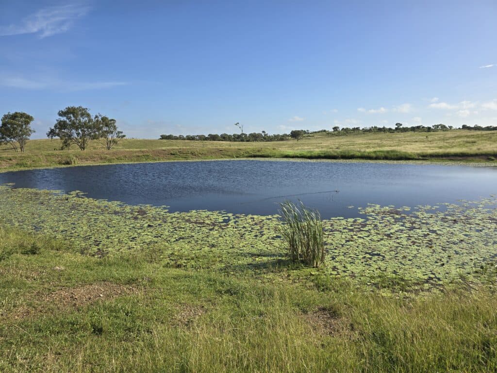 Lot 65-66 Dalma Ridgelands Road, RIDGELANDS QLD 4702, Ridgelands - Thumbnail 8