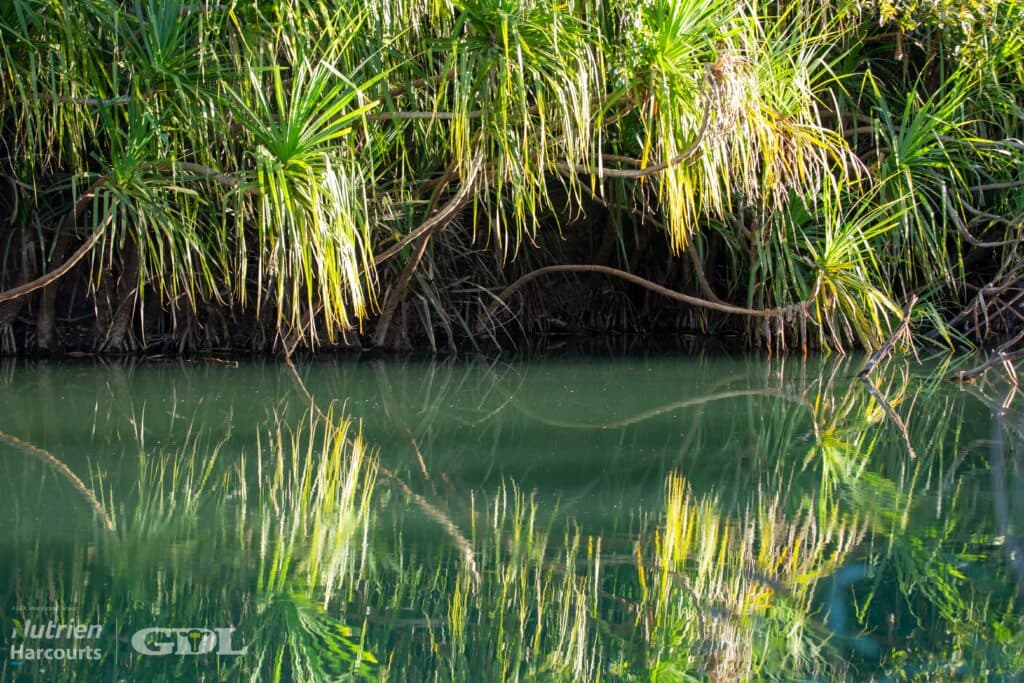 2235 Florina Road, KATHERINE NT 0850, Katherine - Thumbnail 4