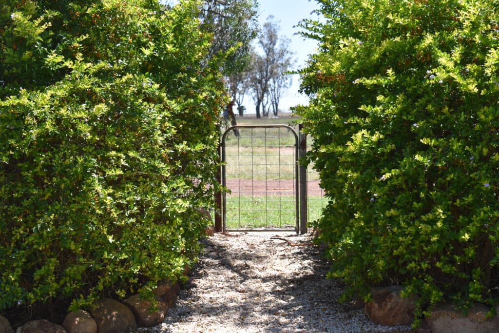 "Savannah" 438 Megine Road, Roma QLD 4455, Roma - Image 1