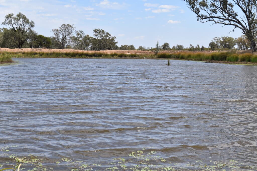 "Savannah" 438 Megine Road, Roma QLD 4455, Roma - Thumbnail 6