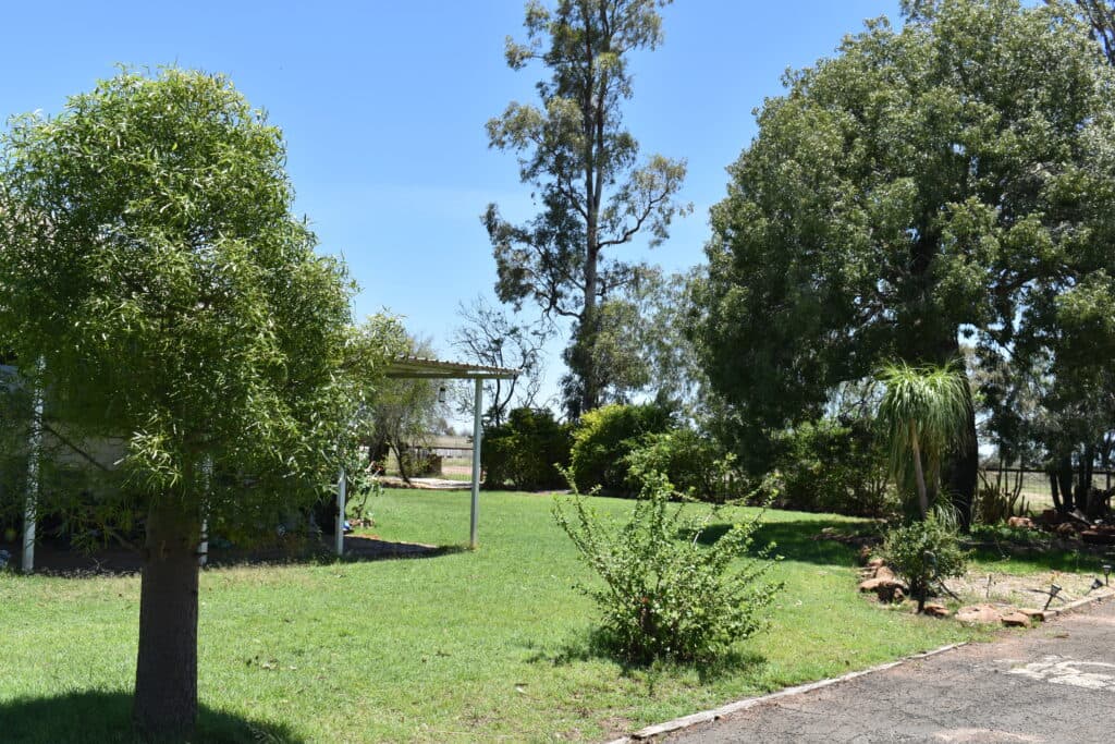 "Savannah" 438 Megine Road, Roma QLD 4455, Roma - Thumbnail 8