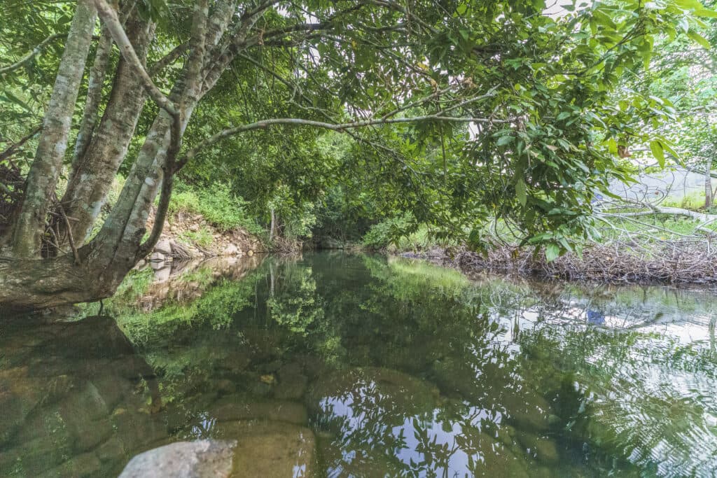 "Hidden Valley" 24 Peterson Road, Koumala QLD 4738, Koumala - Image 1