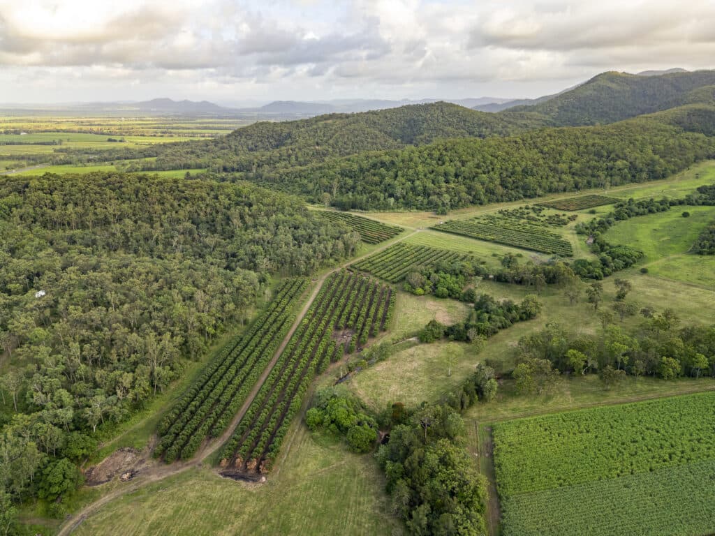 "Hidden Valley" 24 Peterson Road, Koumala QLD 4738, Koumala - Thumbnail 8