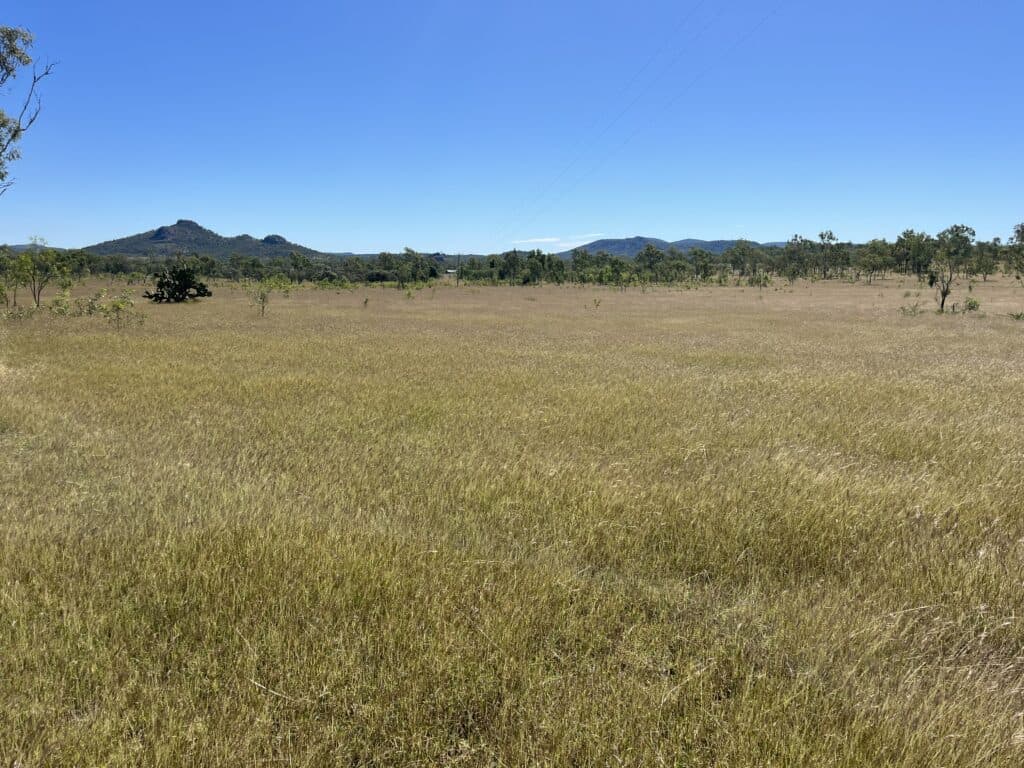 51 Spring Creek Road, WYCARBAH QLD 4702, Wycarbah - Thumbnail 5