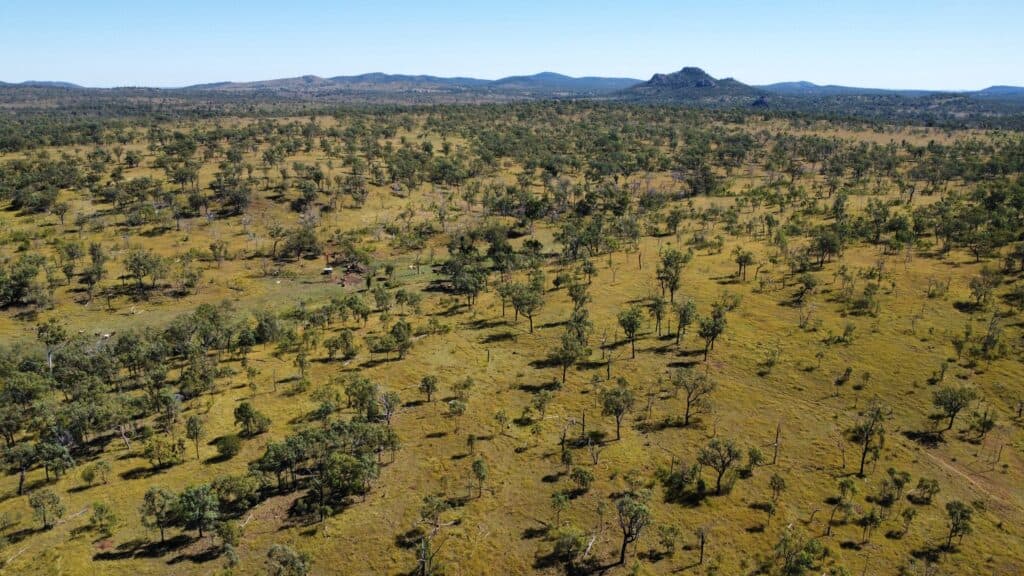 51 Spring Creek Road, WYCARBAH QLD 4702, Wycarbah - Thumbnail 6
