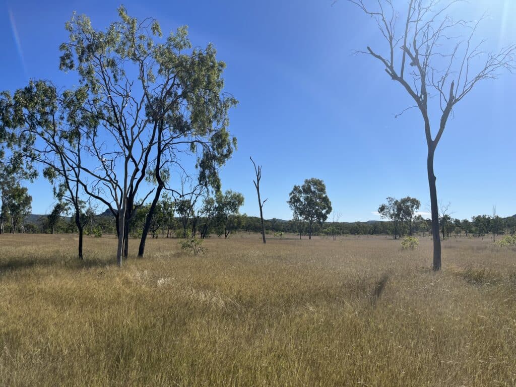 51 Spring Creek Road, WYCARBAH QLD 4702, Wycarbah - Thumbnail 7
