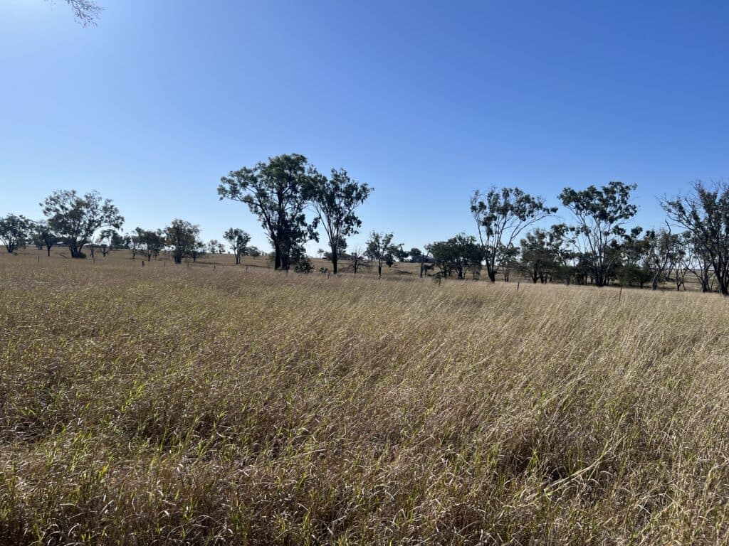 Heswyn , INGLESTONE QLD 4422, Inglestone - Thumbnail 6