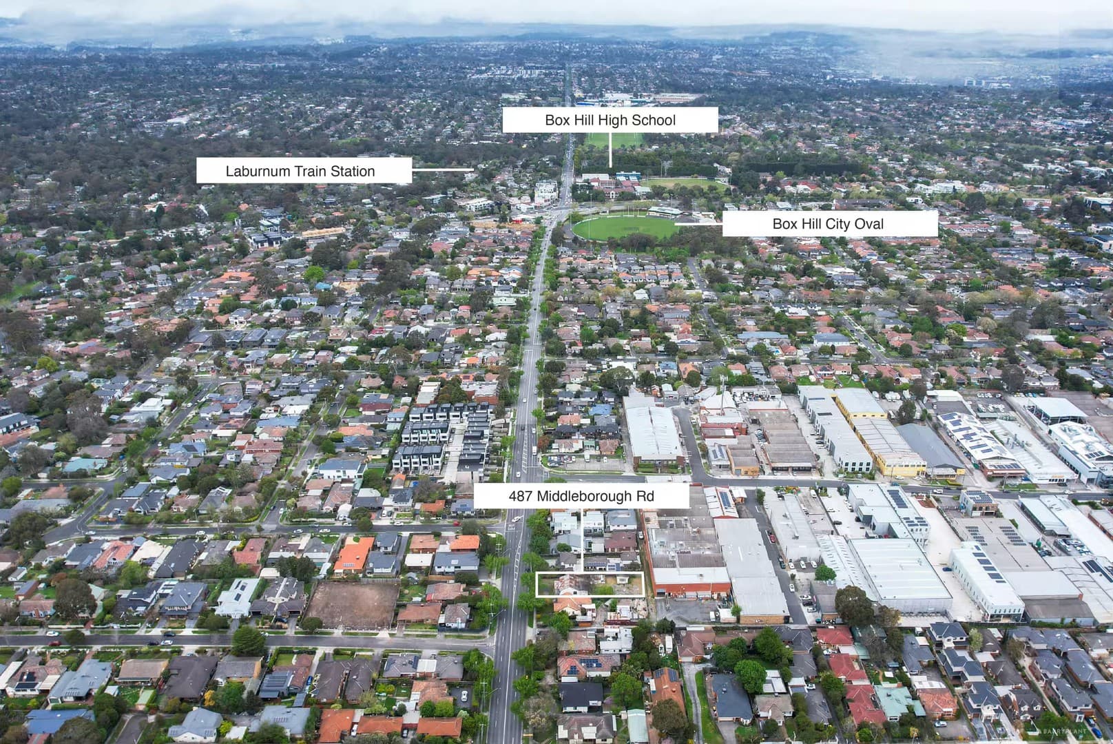 487 Middleborough Road, Box Hill North, VIC 3129, Box Hill North - Thumbnail 5