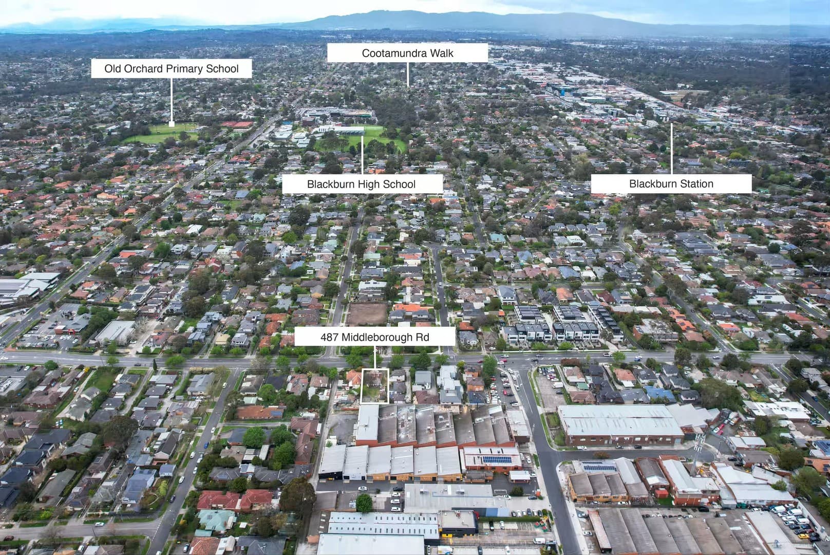 487 Middleborough Road, Box Hill North, VIC 3129, Box Hill North - Thumbnail 6