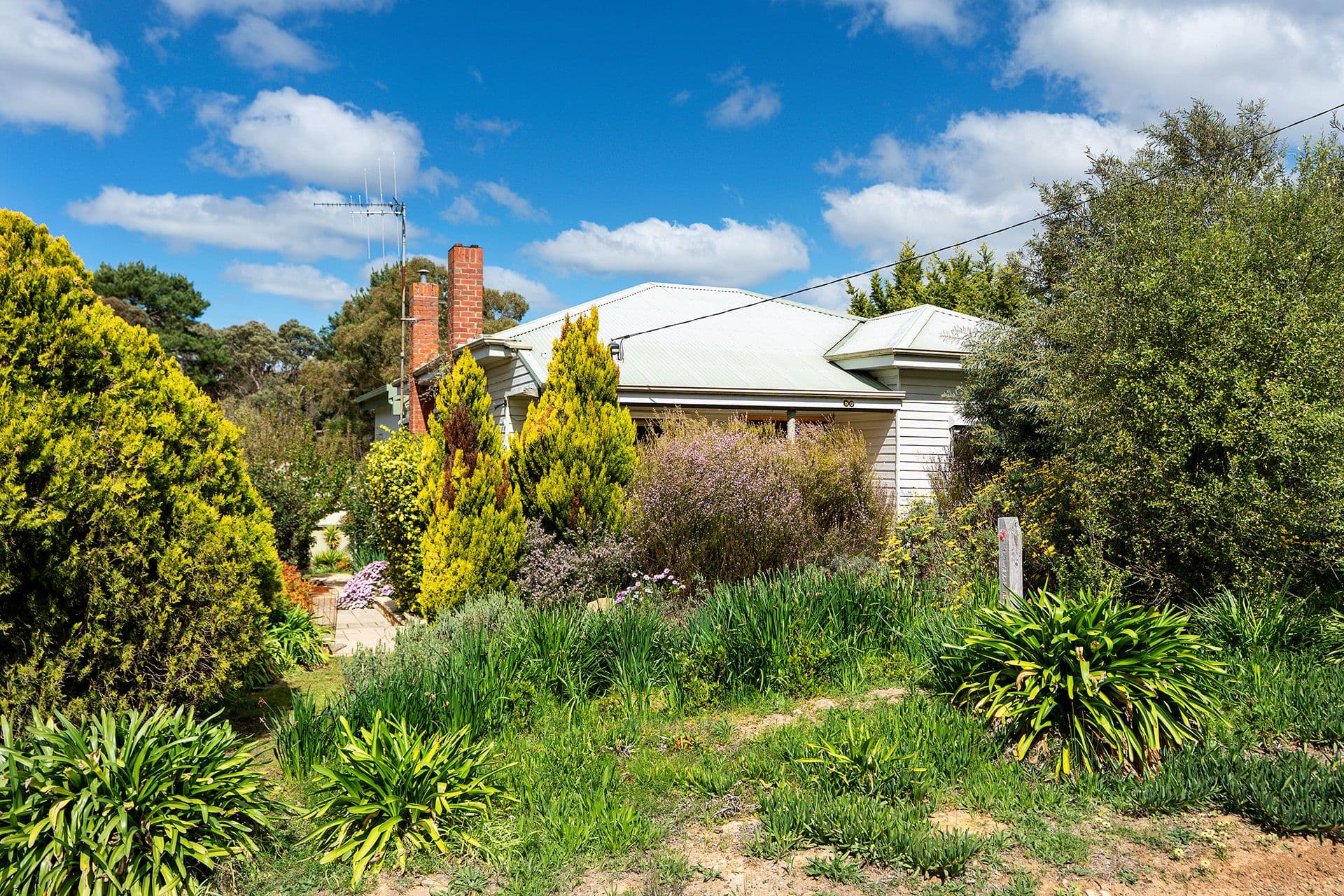 50 Eureka Street, Chewton - Thumbnail 3