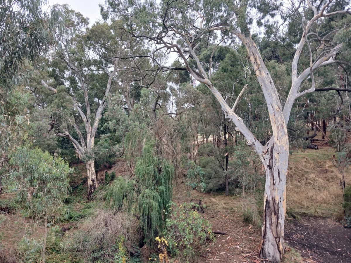 33 Cut Hill Road, KANGARILLA SA 5157, Kangarilla - Thumbnail 2