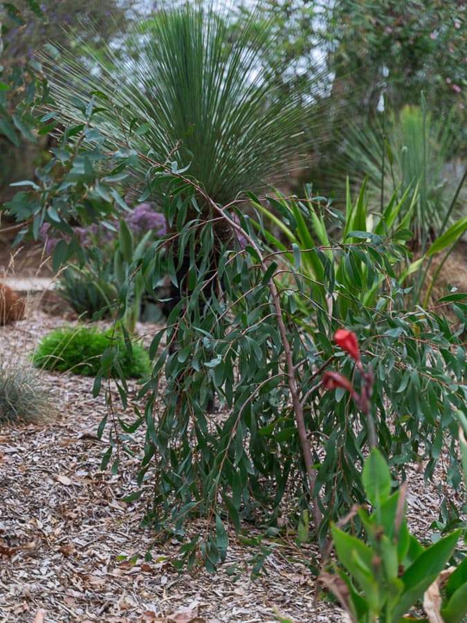 33 Cut Hill Road, KANGARILLA SA 5157, Kangarilla - Thumbnail 8