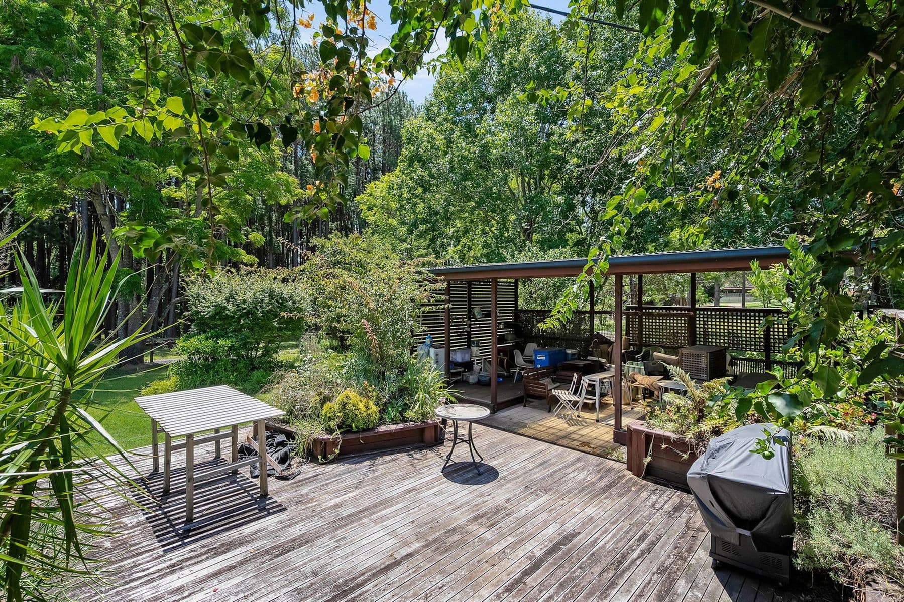60 Butler Avenue, Cooranbong NSW 2265, Cooranbong - Thumbnail 8