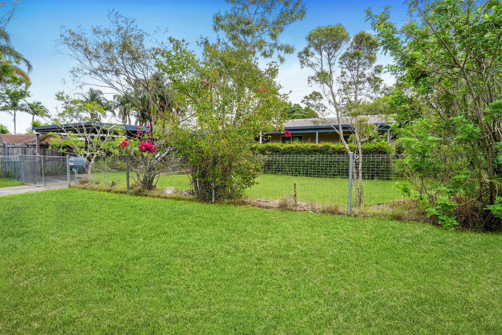 11 Surman Street, Loganlea QLD 4131, Loganlea - Thumbnail 5