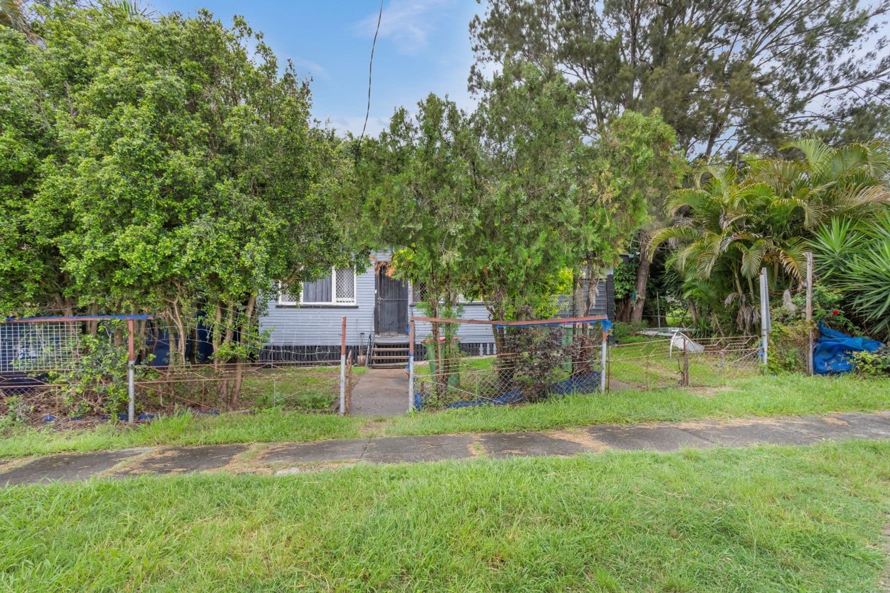 117 Cemetery Road, Raceview, QLD 4305, Raceview - Thumbnail 6