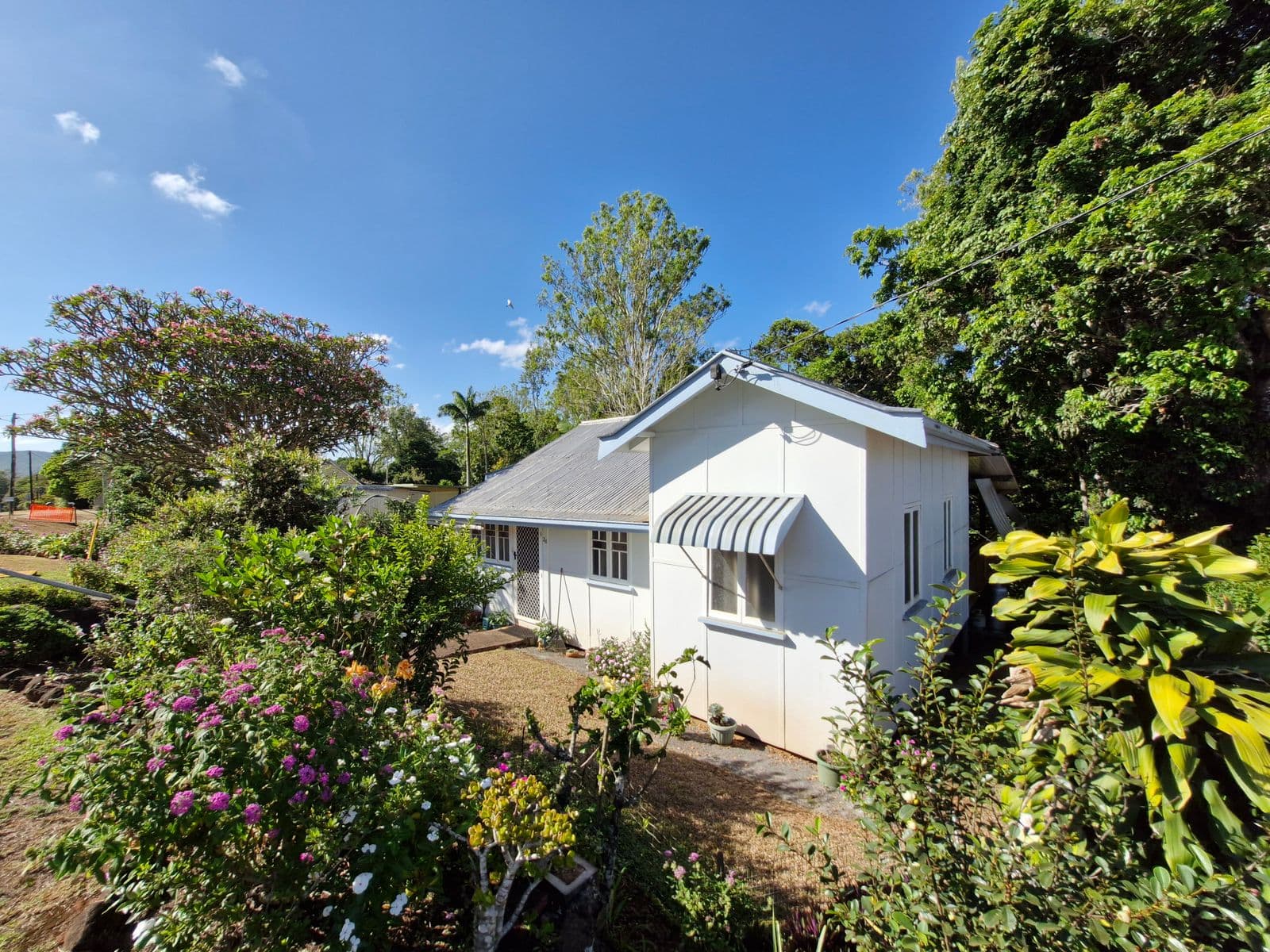 26 Cook Street, Atherton QLD 4883, Atherton - Thumbnail 2