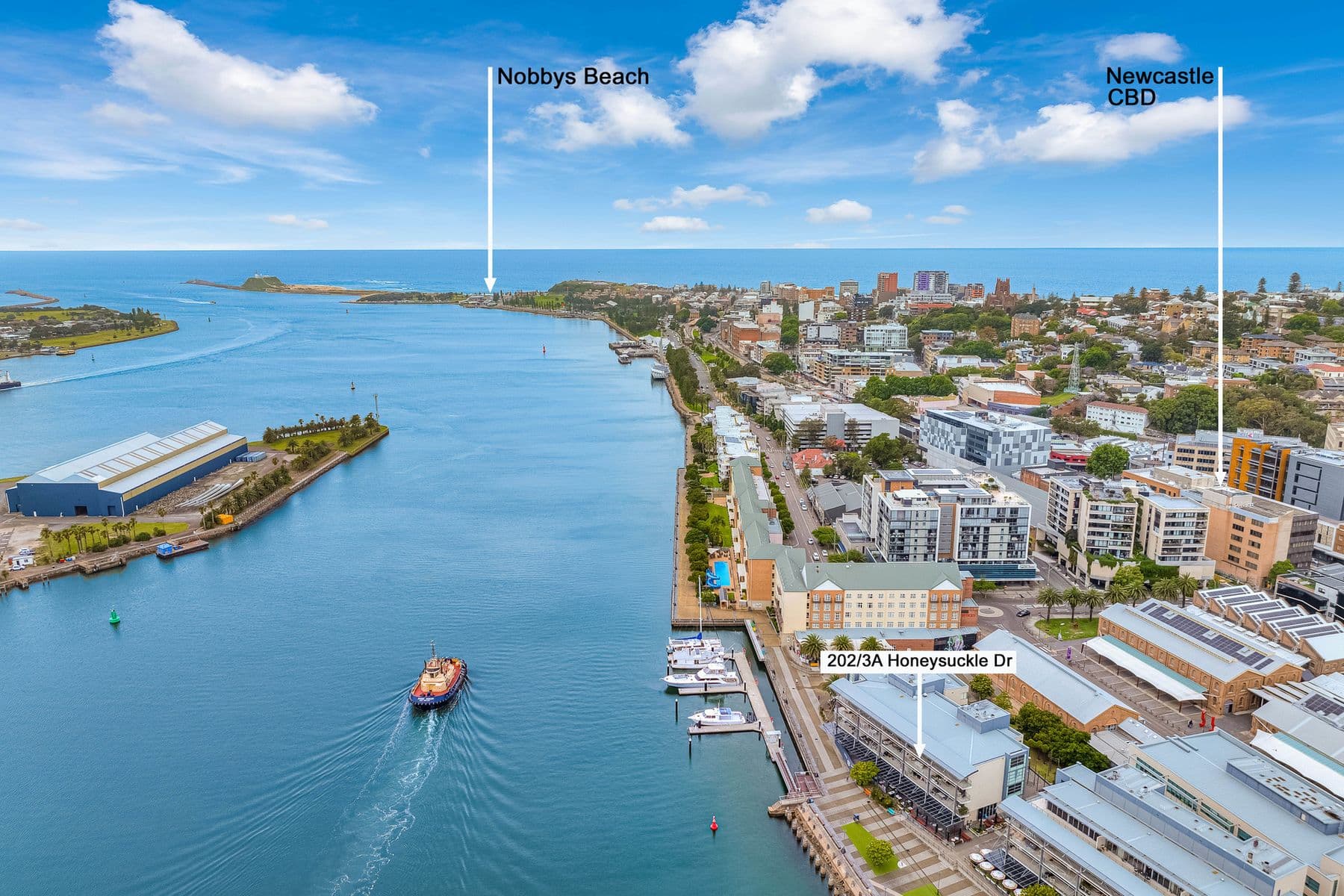 202/3A Honeysuckle Drive, Newcastle NSW 2300, Newcastle - Thumbnail 8