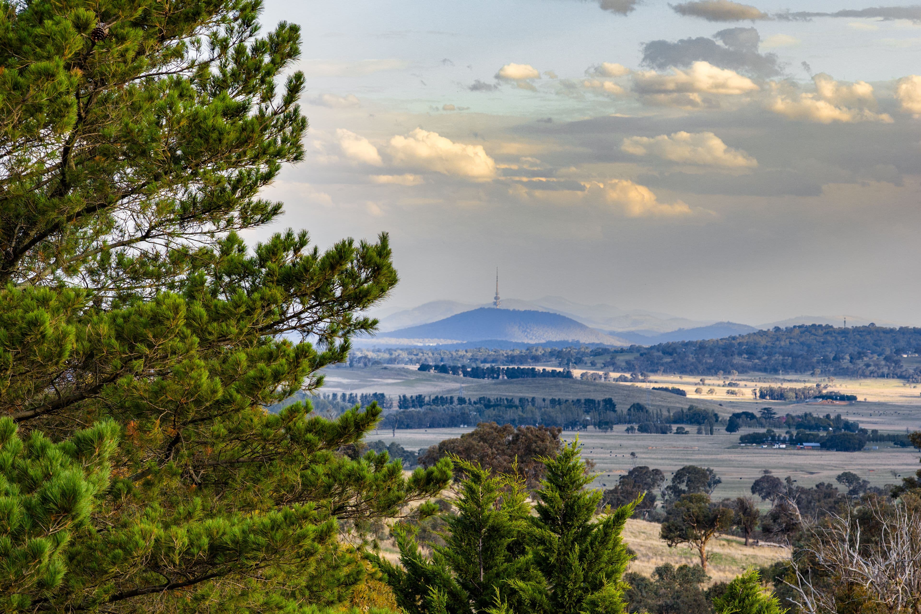 "Savannah Springs" 294 Rolfe Road, Wallaroo NSW 2618, Wallaroo - Thumbnail 2