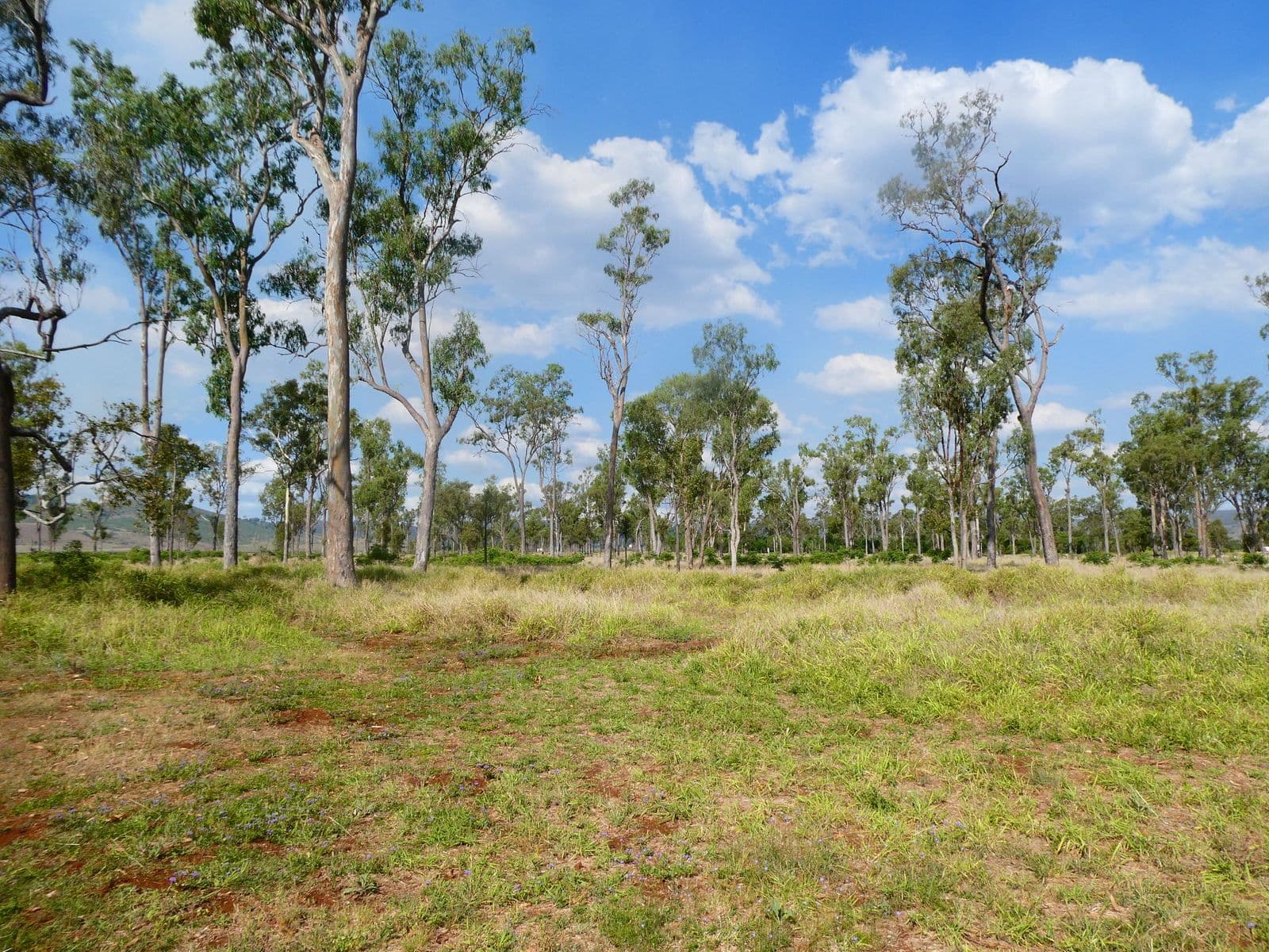 23 Main Street, Coalstoun Lakes QLD 4621, Coalstoun Lakes - Thumbnail 6