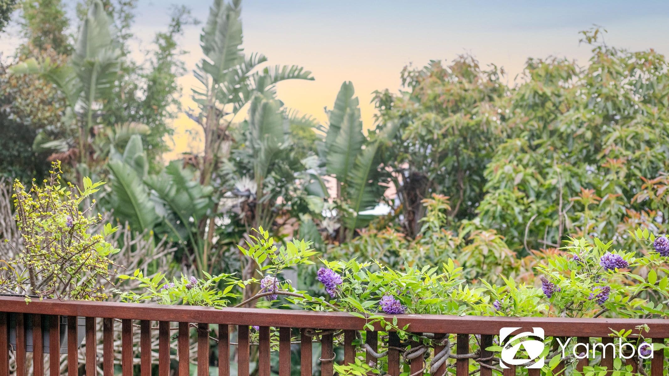3 Waratah Avenue, Yamba NSW 2464, Yamba - Thumbnail 8