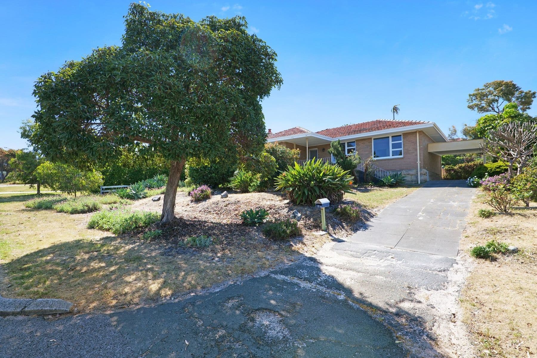 38 Camden Street, Wembley Downs WA 6019, Wembley Downs - Thumbnail 3