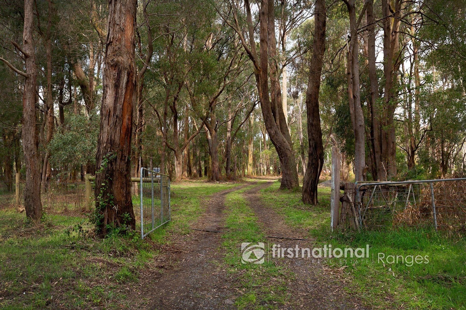 10 Bedford Road, Cockatoo VIC 3781, Cockatoo - Thumbnail 3
