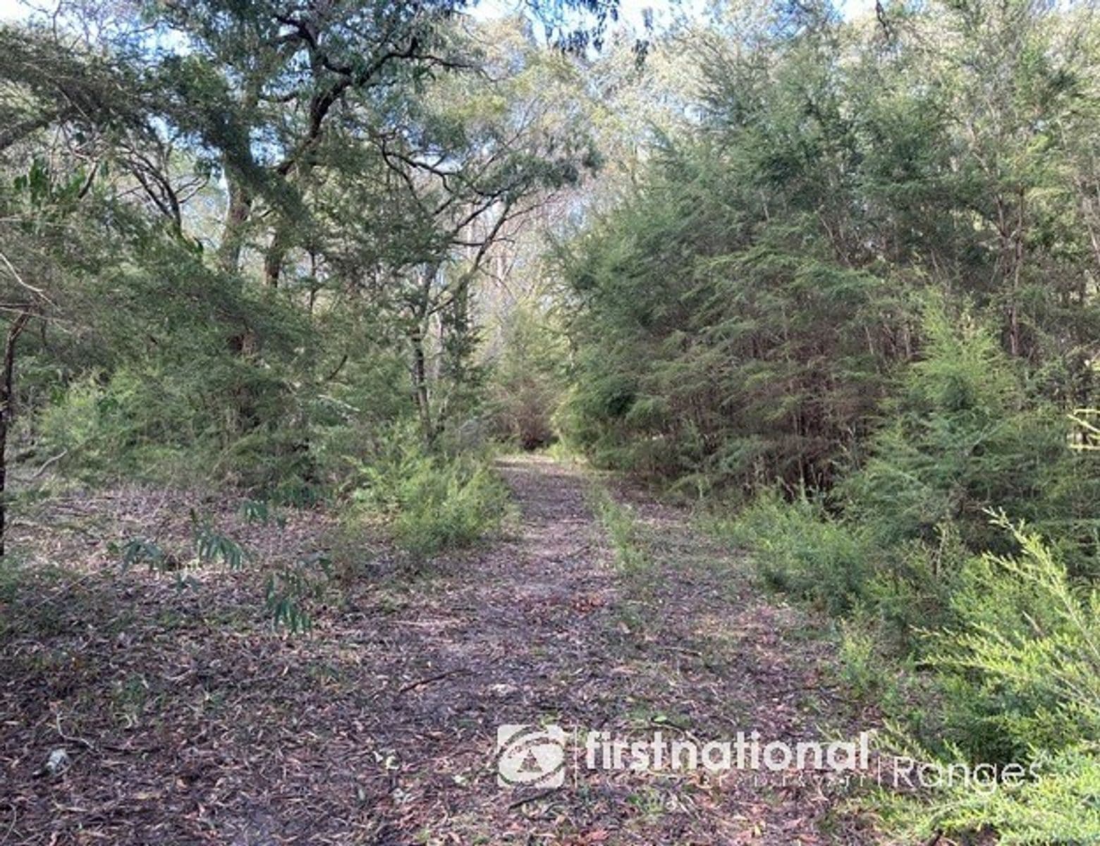 10 Bedford Road, Cockatoo VIC 3781, Cockatoo - Thumbnail 4