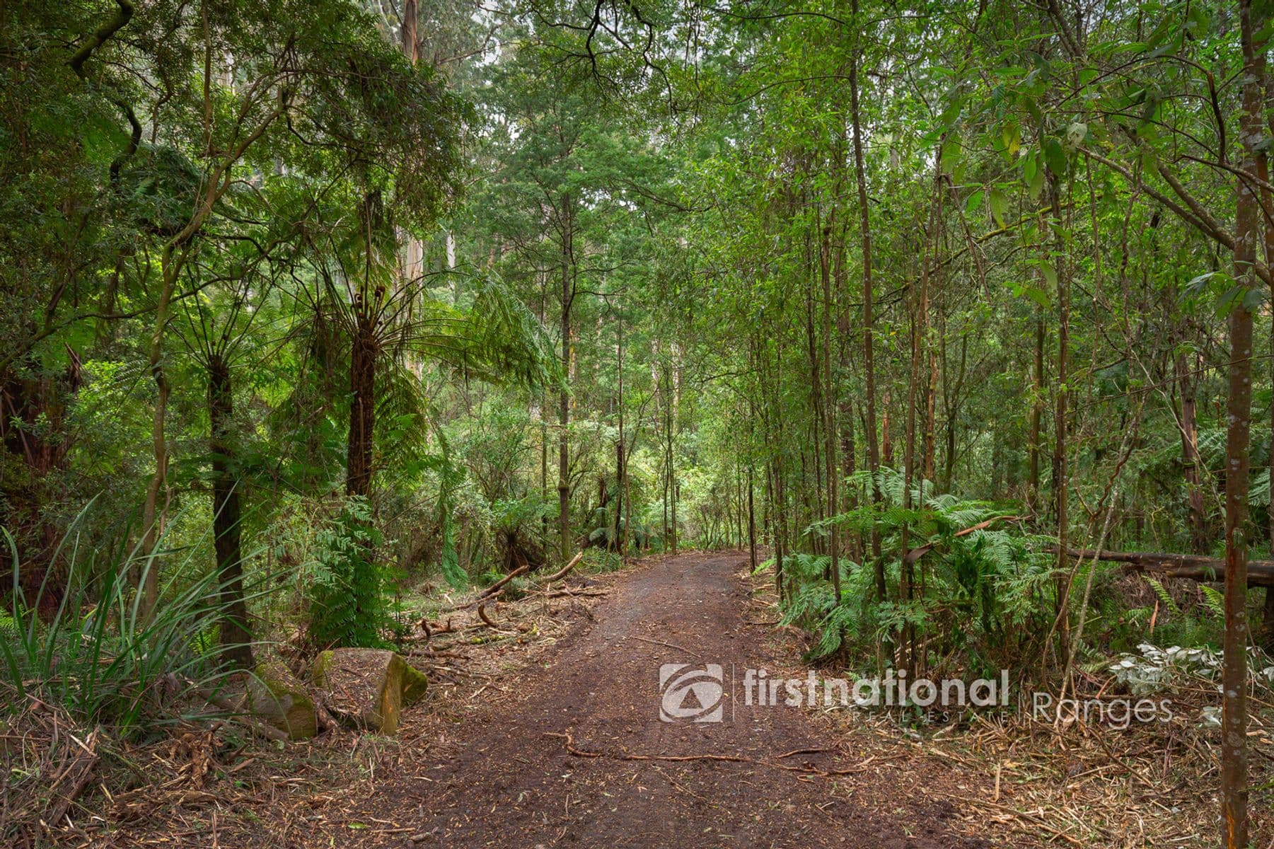 70 SASSAFRAS CREEK ROAD, Sherbrooke, VIC 3789, Sherbrooke - Image 1
