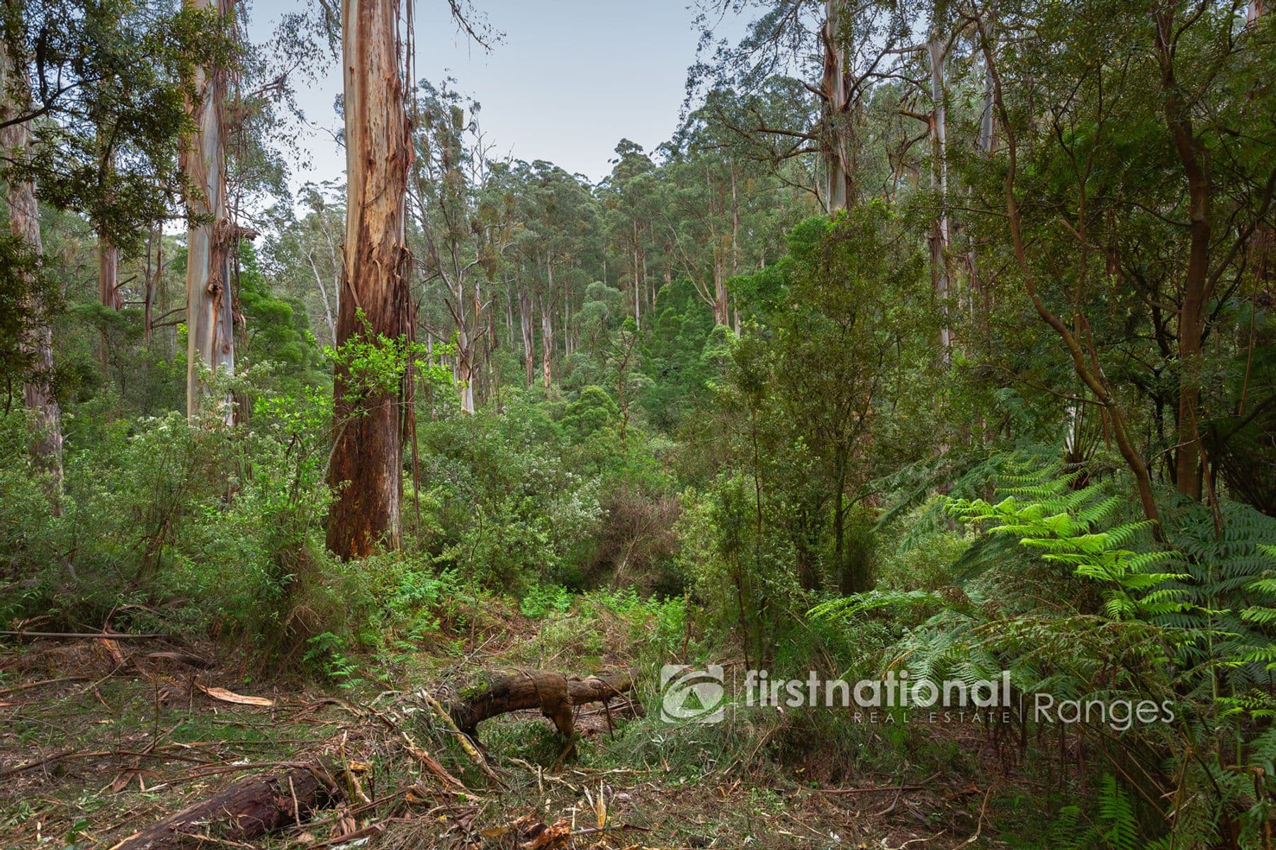 70 SASSAFRAS CREEK ROAD, Sherbrooke, VIC 3789, Sherbrooke - Thumbnail 2