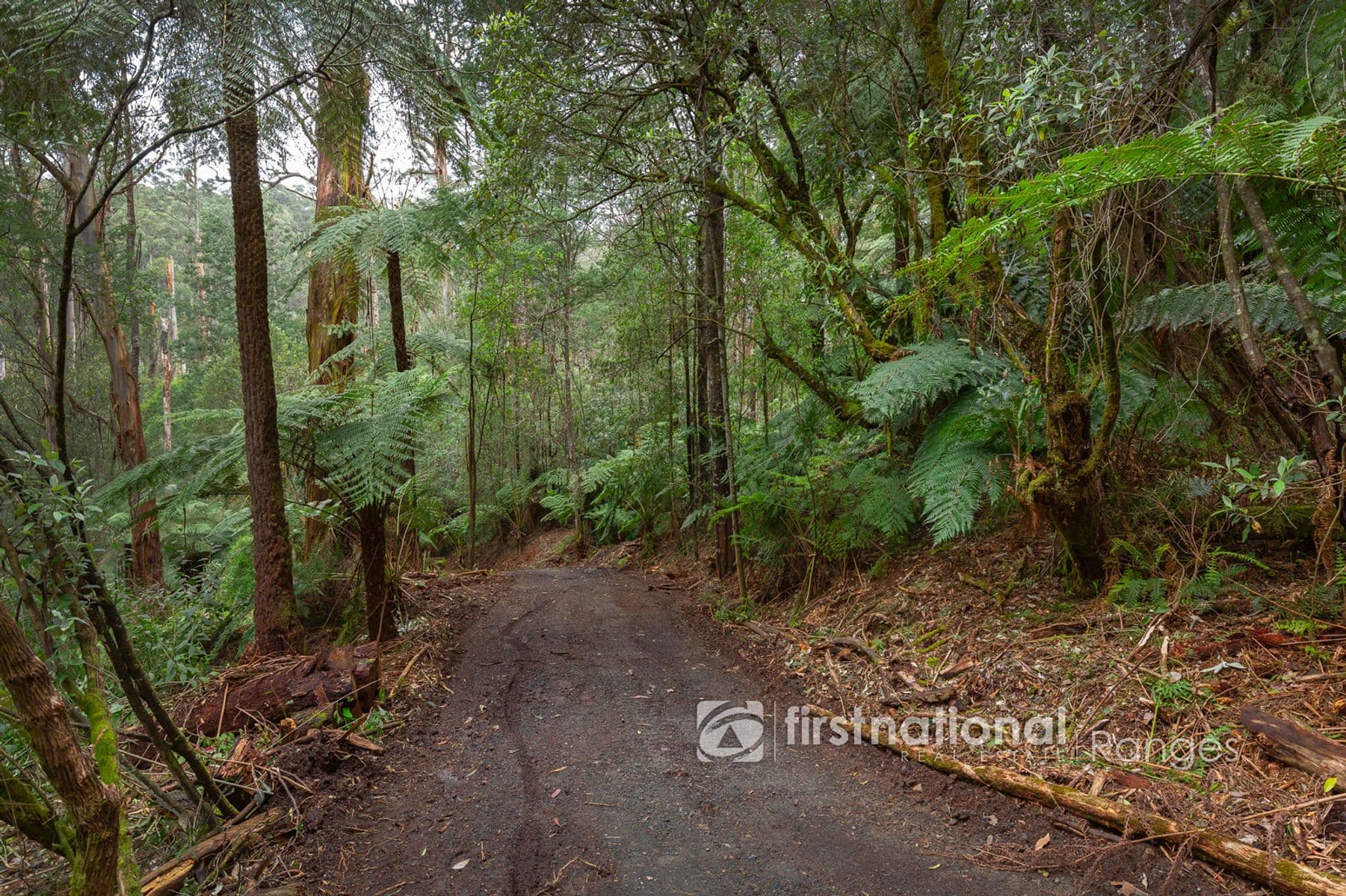 70 SASSAFRAS CREEK ROAD, Sherbrooke, VIC 3789, Sherbrooke - Thumbnail 4