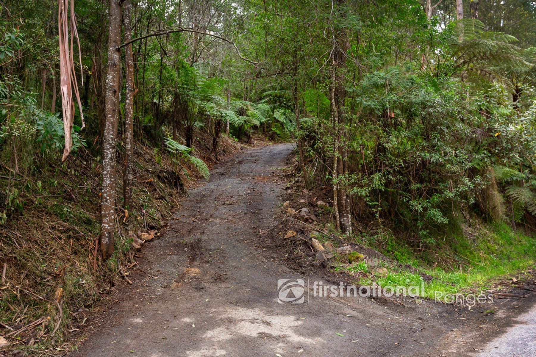 70 SASSAFRAS CREEK ROAD, Sherbrooke, VIC 3789, Sherbrooke - Thumbnail 5